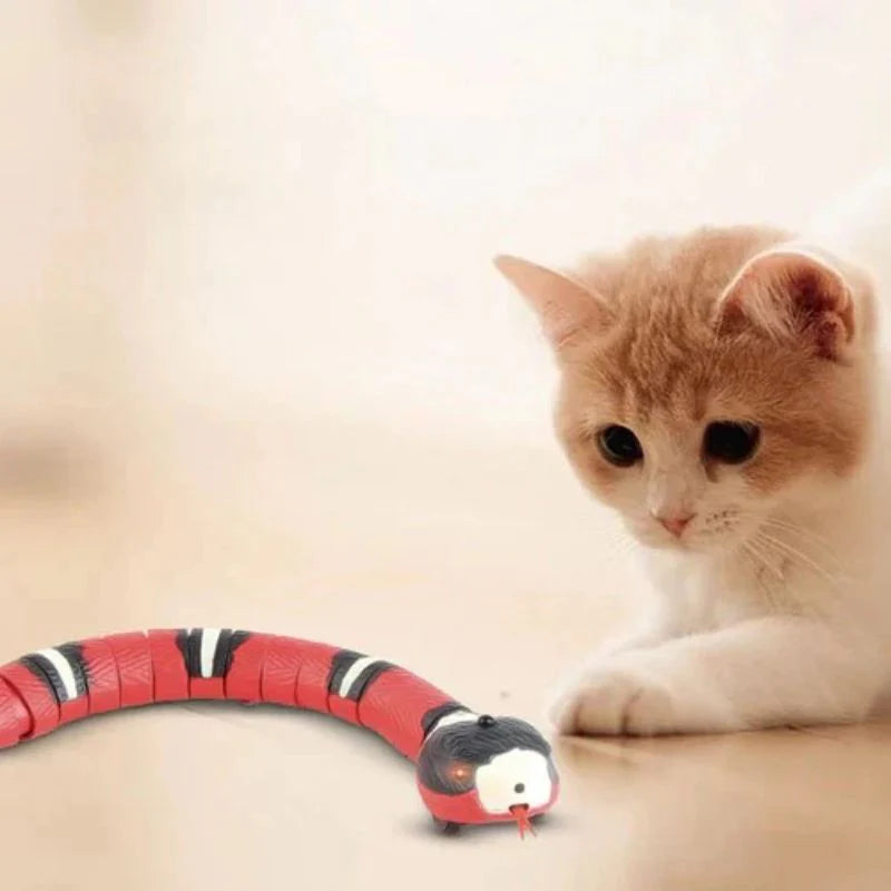 Brinquedo Cobra Inteligente Smart Snake©